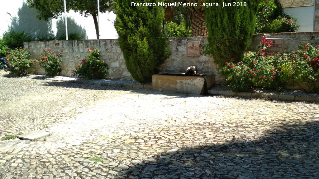 Casa de las Nias - Casa de las Nias. Patio empedrado