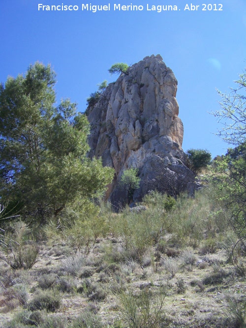 Pea Grajera - Pea Grajera. 