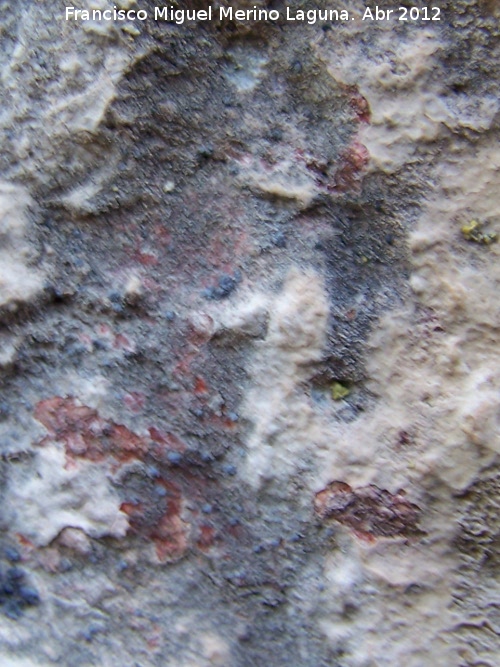 Pinturas rupestres del Abrigo de la Peña Grajera Grupo III - Pinturas rupestres del Abrigo de la Peña Grajera Grupo III. Restos de pinturas rupestres tapados por una capa de calcita