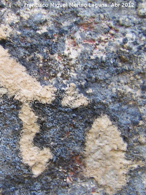 Pinturas rupestres del Abrigo de la Pea Grajera Grupo III - Pinturas rupestres del Abrigo de la Pea Grajera Grupo III. Restos de pinturas rupestres tapados por una capa de calcita