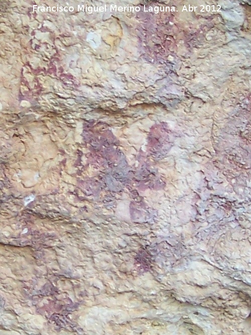 Pinturas rupestres del Abrigo de la Pea Grajera Grupo IV - Pinturas rupestres del Abrigo de la Pea Grajera Grupo IV. Detalle