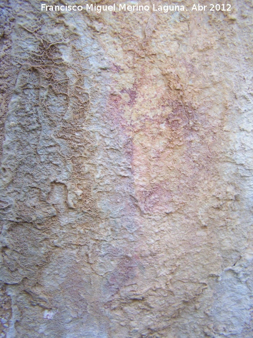 Pinturas rupestres del Abrigo de la Pea Grajera Grupo V - Pinturas rupestres del Abrigo de la Pea Grajera Grupo V. Barra