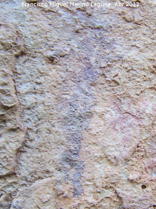 Pinturas rupestres del Abrigo de la Pea Grajera Grupo V - Pinturas rupestres del Abrigo de la Pea Grajera Grupo V. Barra