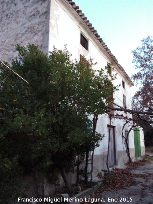 Cortijo de La Torre - Cortijo de La Torre. 