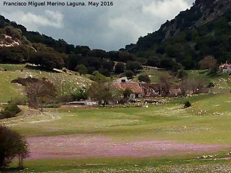 Cortijo del Llano de ngel - Cortijo del Llano de ngel. 