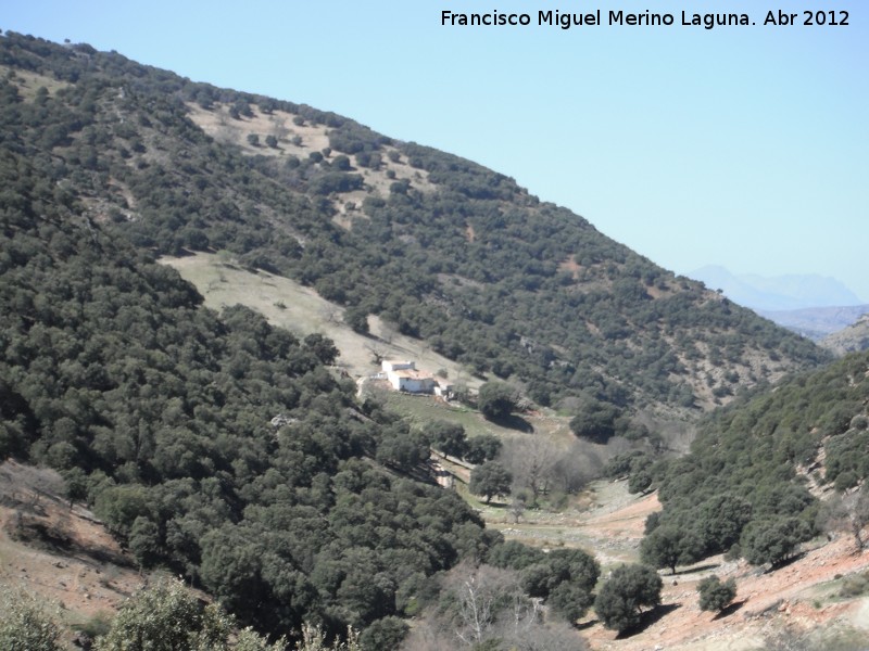 Cortijo de la Umbra - Cortijo de la Umbra. 