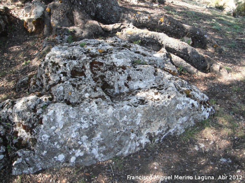 Cortijo Cerrillo de la Cima - Cortijo Cerrillo de la Cima. Piedra donde se sentaba el Santo Luisico