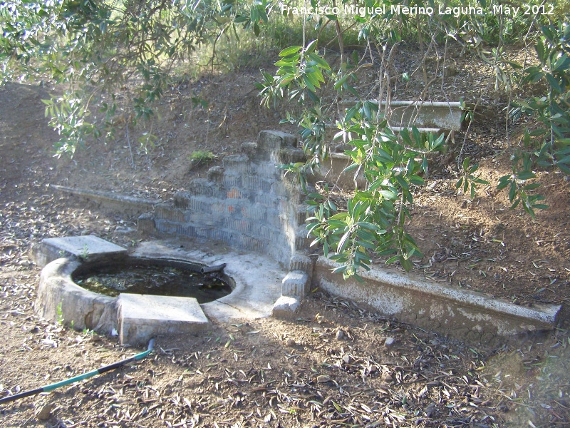 Fuente del Cerro de la Torre - Fuente del Cerro de la Torre. 