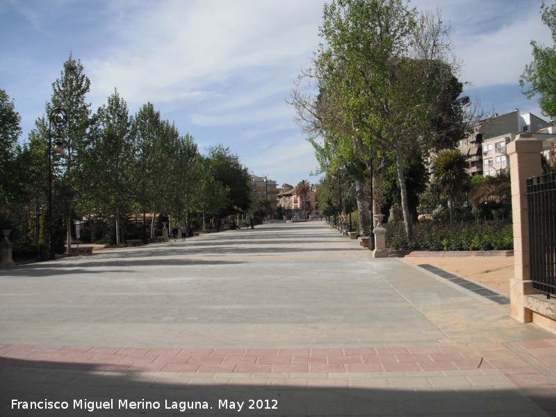 Paseo de los lamos - Paseo de los lamos. 