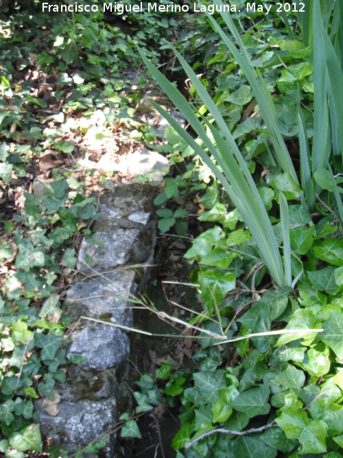 Albercas de la Fuente de la Pea - Albercas de la Fuente de la Pea. Acequia