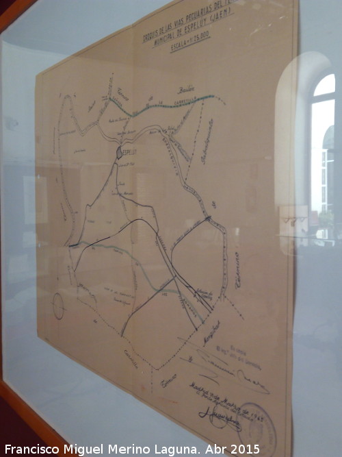 Historia de Espeluy - Historia de Espeluy. Mapa de las Vas Pecuarias de Espeluy. 1963. Archivo Histrico de Jan