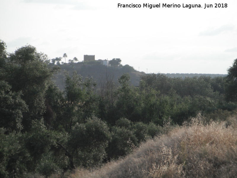 Castillo de Espeluy - Castillo de Espeluy. Desde Sevilleja