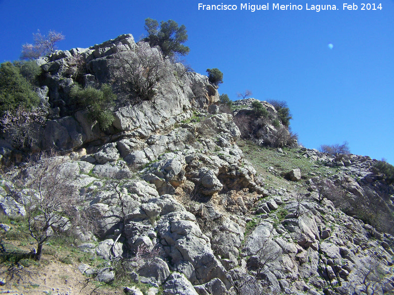 Cerro Castelln - Cerro Castelln. 