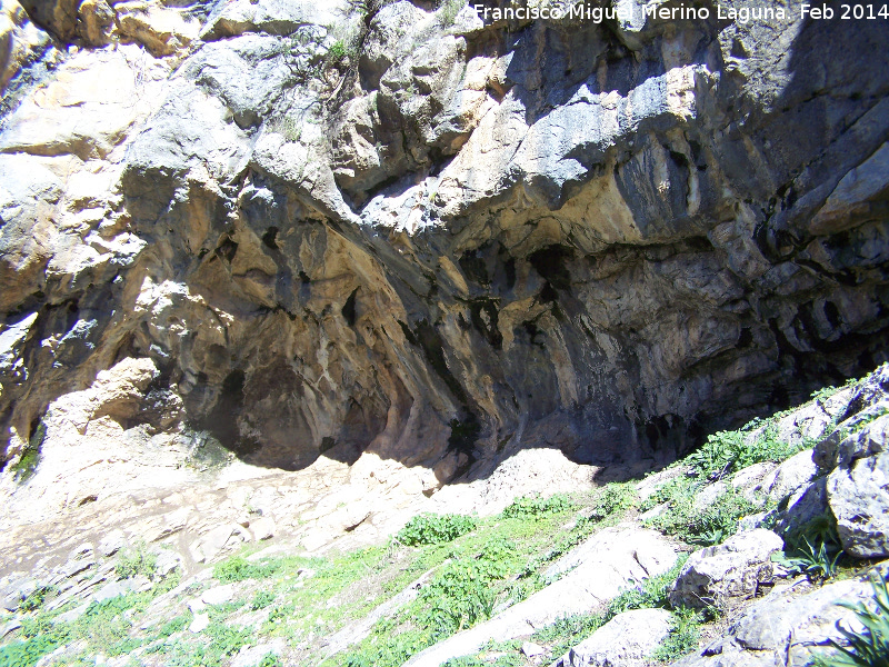 Cerro Castelln - Cerro Castelln. Abrigo