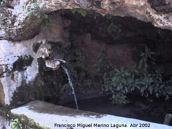 Fuente Elvira - Fuente Elvira. 