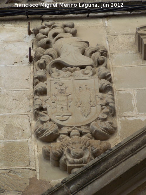 Casa de los Molina y Xodar - Casa de los Molina y Xodar. Escudo izquierdo