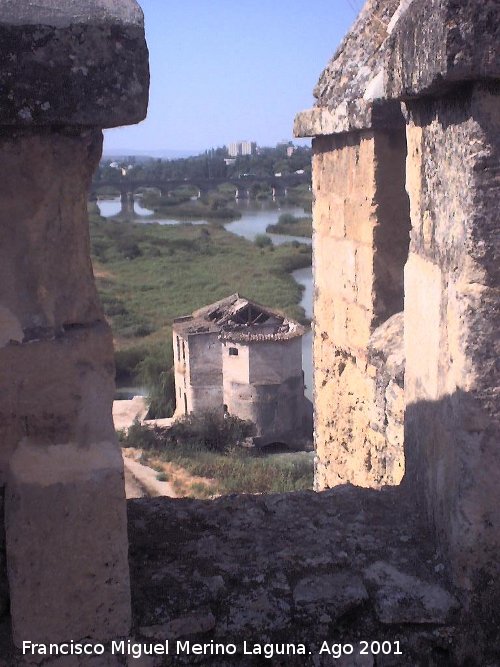 Molino de San Antonio - Molino de San Antonio. Desde la Torre de la Calahorra