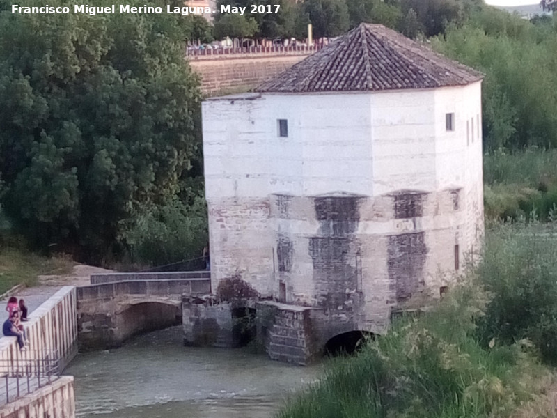 Molino de San Antonio - Molino de San Antonio. 