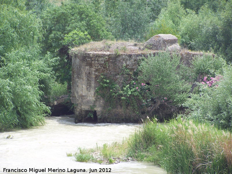 Molino de Tllez - Molino de Tllez. 