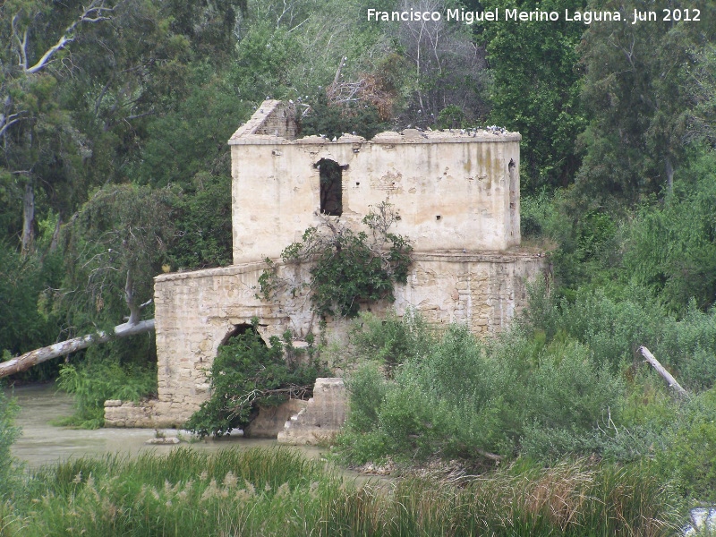 Molino de Enmedio - Molino de Enmedio. 