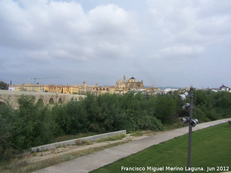 Paseo de la Ribera - Paseo de la Ribera. 