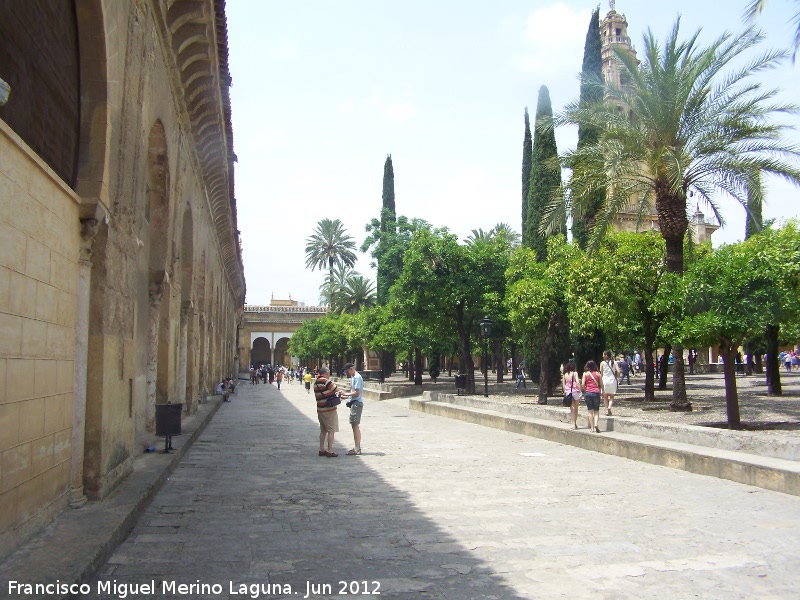 Mezquita Catedral. Patio de los Naranjos - Mezquita Catedral. Patio de los Naranjos. 