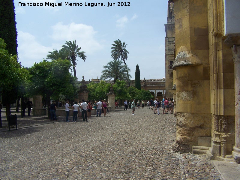 Mezquita Catedral. Patio de los Naranjos - Mezquita Catedral. Patio de los Naranjos. 