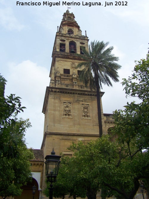 Mezquita Catedral. Torre Campanario - Mezquita Catedral. Torre Campanario. 