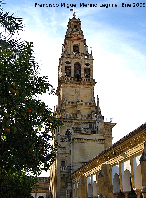 Mezquita Catedral. Torre Campanario - Mezquita Catedral. Torre Campanario. 