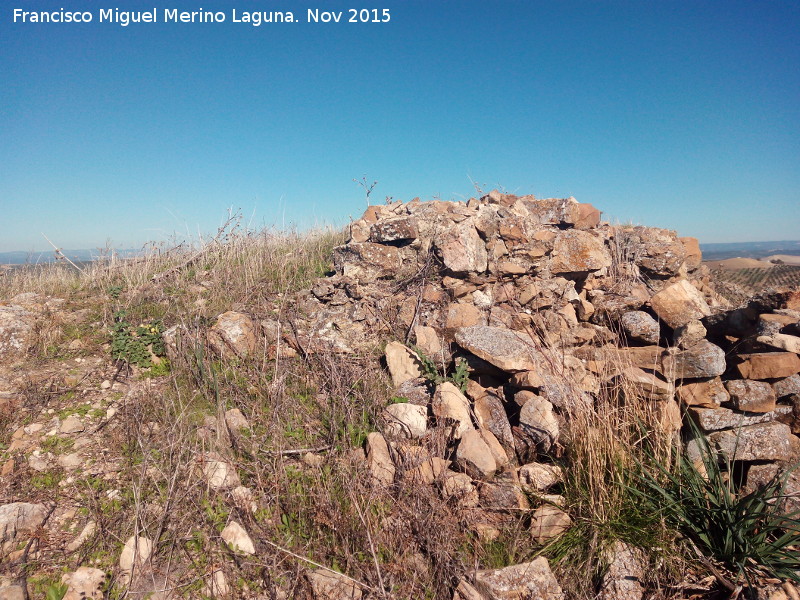 Torre de Mara Martn - Torre de Mara Martn. 