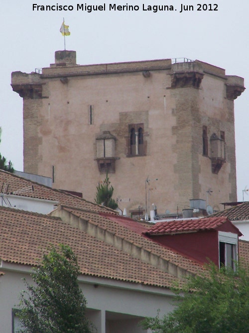 Torre de Garci Mndez - Torre de Garci Mndez. 