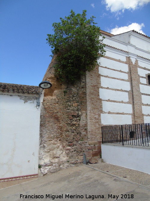 Torre de Garci Mndez - Torre de Garci Mndez. Muro del castillo