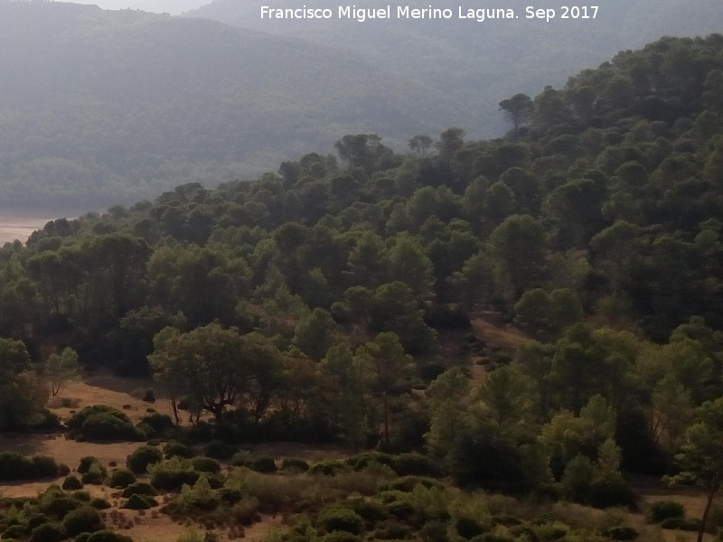 Parque de fauna silvestre Collado del Almendral - Parque de fauna silvestre Collado del Almendral. Desde el Mirador Flix Rodrguez de la Fuente