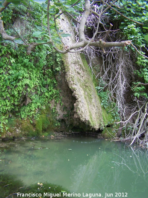 Cascada de la Corregidora - Cascada de la Corregidora. 