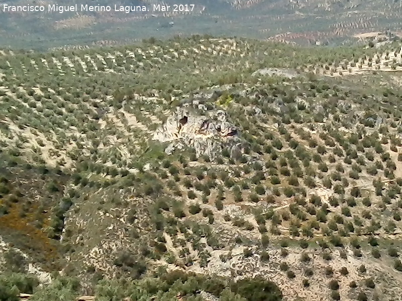 Castillo de Ruicerezo - Castillo de Ruicerezo. 