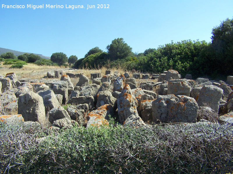 Baelo Claudia - Baelo Claudia. Restos arqueolgicos