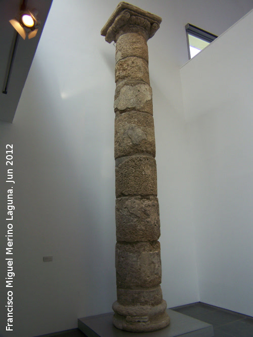 Baelo Claudia. Baslica - Baelo Claudia. Baslica. Columna de calcarenita fosilfera local. Siglo I d.C. Museo de Baelo Claudia