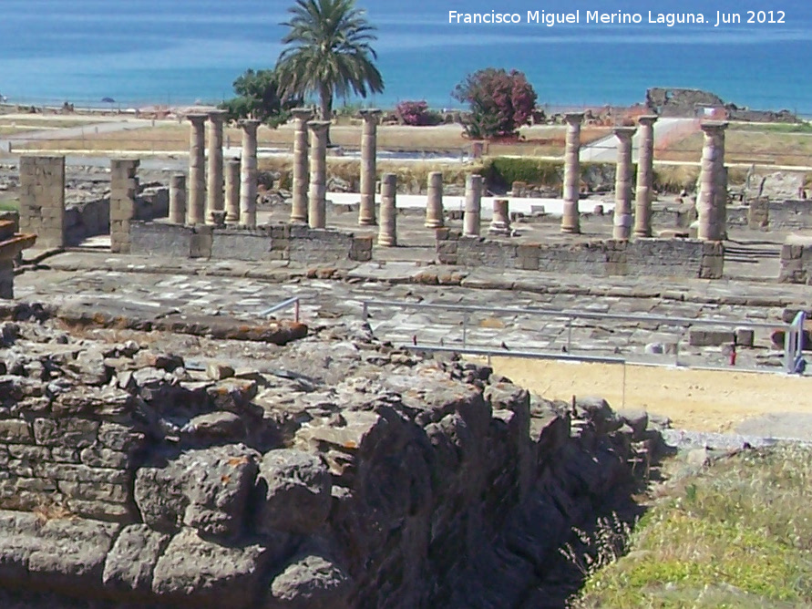 Baelo Claudia. Foro - Baelo Claudia. Foro. 