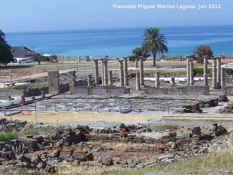 Baelo Claudia. Foro - Baelo Claudia. Foro. 