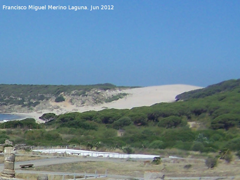 Duna de Bolonia - Duna de Bolonia. 