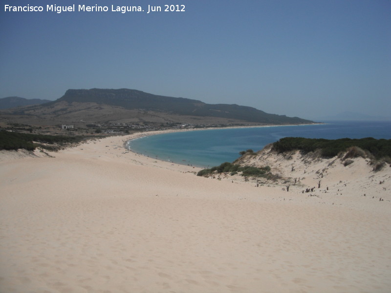 Duna de Bolonia - Duna de Bolonia. Playa de Bolonia desde la duna