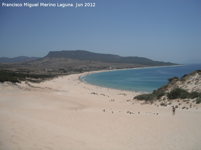 Duna de Bolonia - Duna de Bolonia. Playa de Bolonia desde la duna