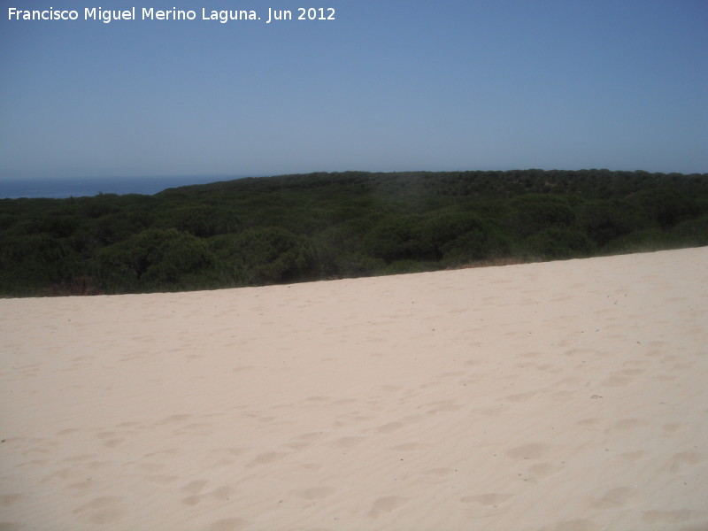 Punta Camarinal - Punta Camarinal. Desde la Duna de Bolonia