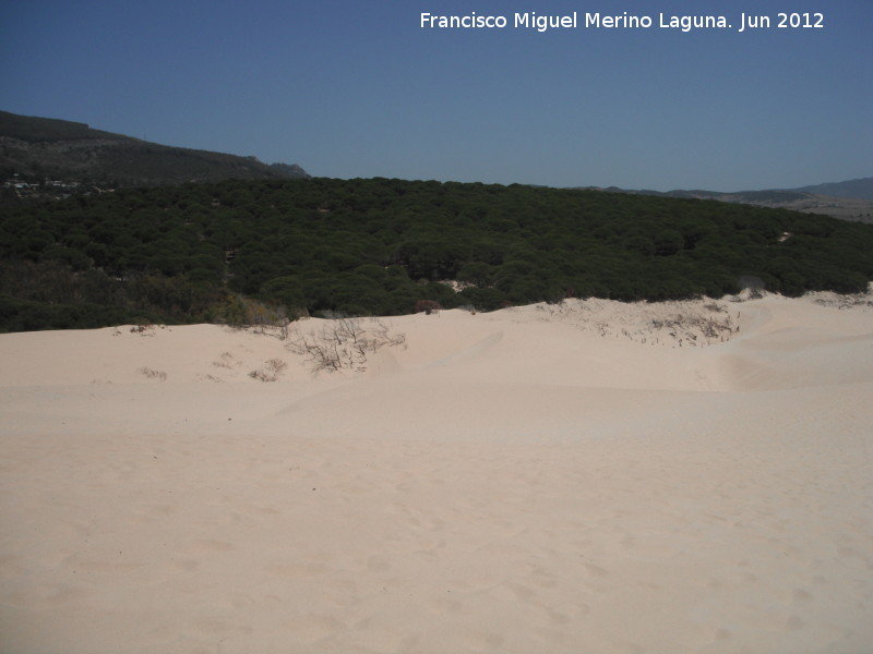 Sierra de la Plata - Sierra de la Plata. Desde la Duna de Bolonia