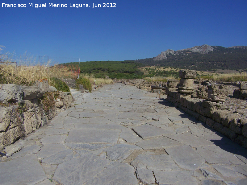 Baelo Claudia. Decumanus Maximus - Baelo Claudia. Decumanus Maximus. 