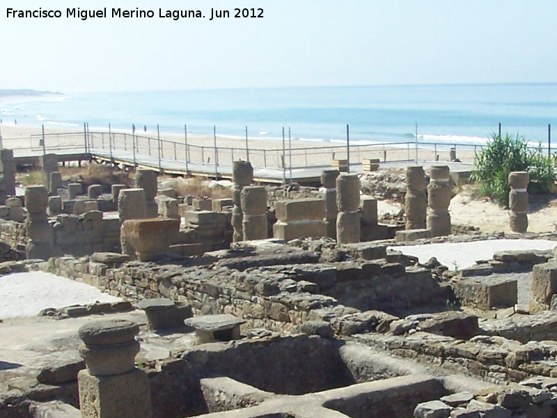 Baelo Claudia. Calle de las Columnas - Baelo Claudia. Calle de las Columnas. 