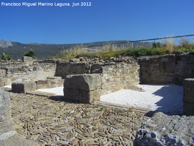 Baelo Claudia. Tabernae del Decumanus Maximus - Baelo Claudia. Tabernae del Decumanus Maximus. 