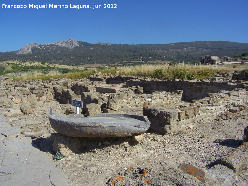 Baelo Claudia. Fbrica de Salazn al Norte del Decumanus Maximus - Baelo Claudia. Fbrica de Salazn al Norte del Decumanus Maximus. 