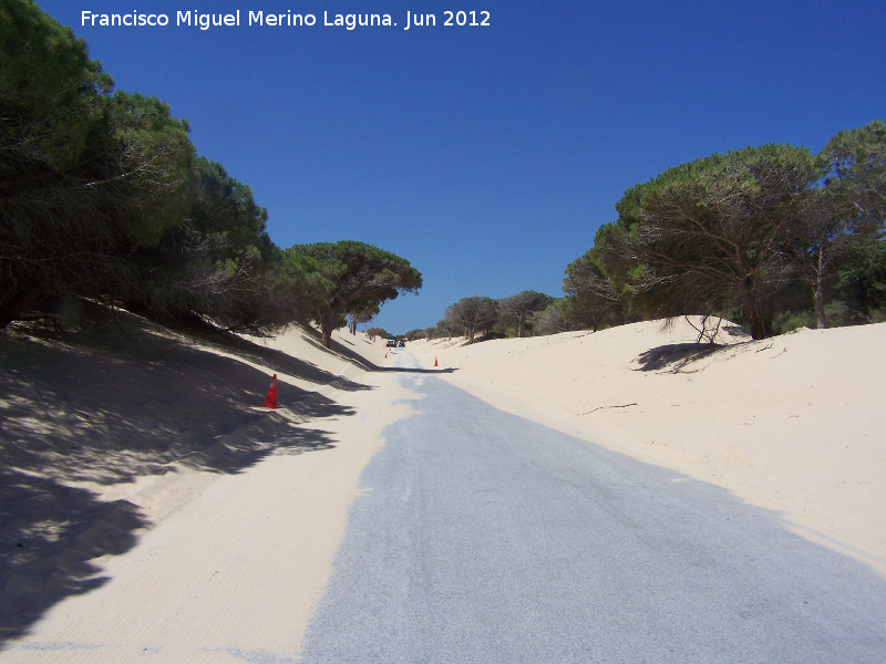 Duna de  Valdevaqueros - Duna de  Valdevaqueros. 