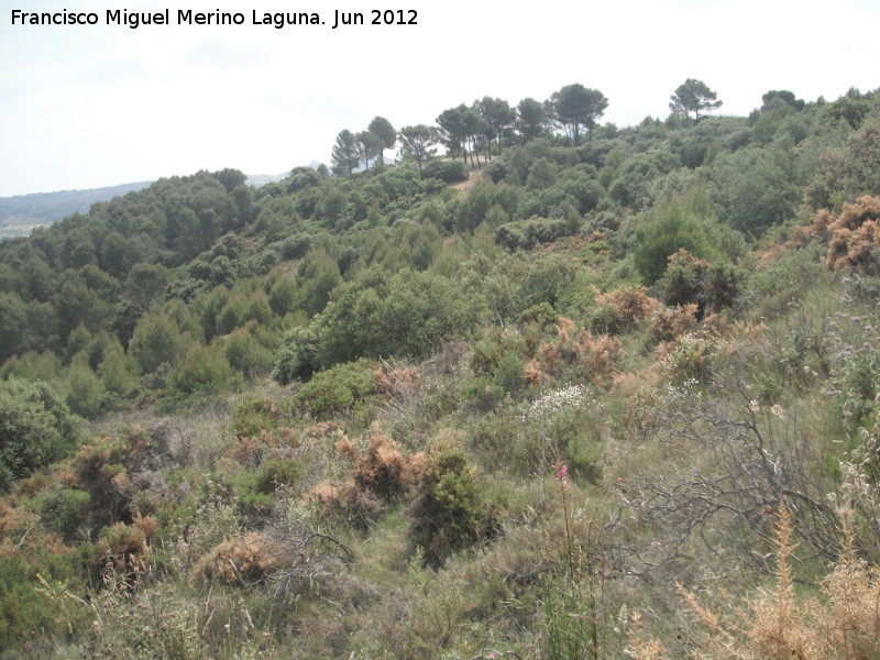 Cerro Miguelico - Cerro Miguelico. 